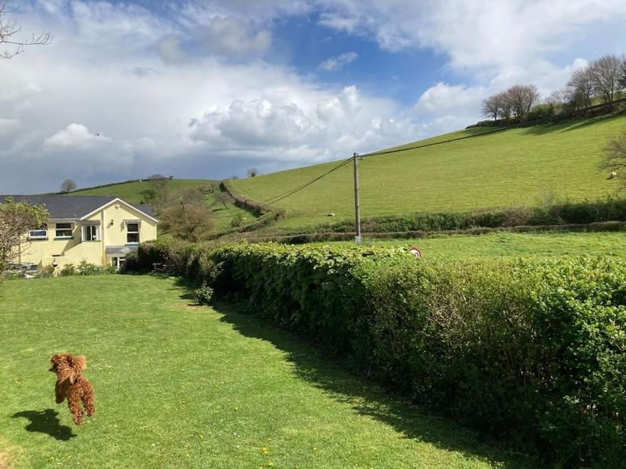 Charming Countryside Cottage Ground Floor Apartment In Combeinteignhead Devon Bishopsteignton Ngoại thất bức ảnh